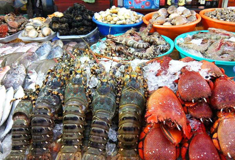 mua hải sản tươi sống tại Nha Trang.